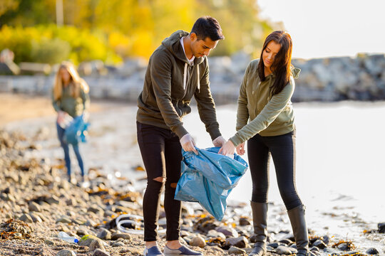 Team of environmental conservation volunteers cleaning beach on sunny day