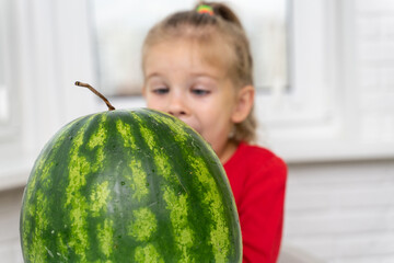 Fototapeta premium child looks at a big watermelon with appetite anticipating a sweet taste