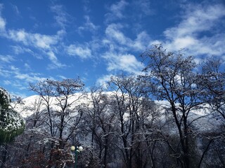 Cielo blanco