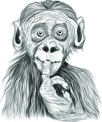 black and white sketch the monkey is a fun little vector illustration print