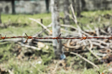 Rusty barbed wire tension, close up shot