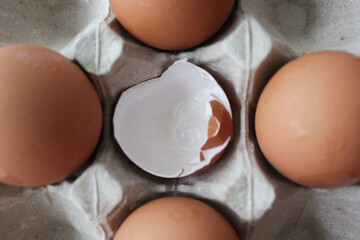 eggs and shells in a box