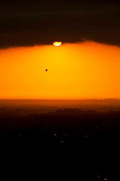 Tramonto con cornacchia 