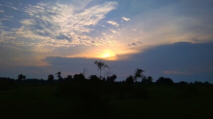 Obraz premium sunset in the field