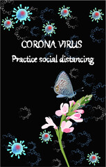 Corona Virus banner with text, butterfly. flower. Abstract background with Coronavirus bacteria