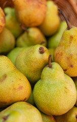 Fresh Pears Food Closeup. Healthy Food. Vegetarian Food. Nutritious Food.