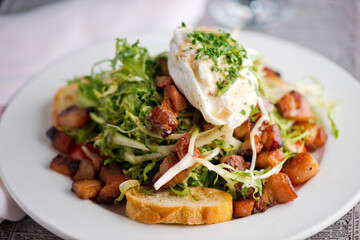 Salad. Frisee lettuce dress with olive oil and balsamic vinegar and topped with bacon lardons a fried egg and garnished with italian parsely and a toasted baguette. Served in a French Bistro.