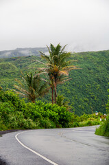 View into a misty or foggy Pololu Valley with low hanging clouds over evergreen rainforest covered...