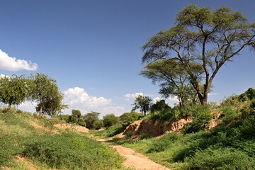 Fototapeta na wymiar Landscape view near Konso city. Konso Highlands. Ethiopia. Africa.