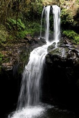 Obraz premium View of a waterfall near Rira village. Bale Mountains National Park. Ethiopia. Africa.