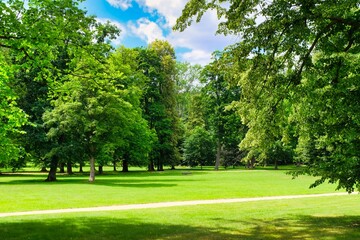 Beautifully green grass in a city park