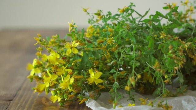 Collecting thyme for tea. Dry the herbs at home.