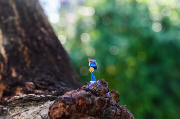 Miniature adventure travel concept : Small toy figure backpacker is Climbing at the mountain with background of the forest.