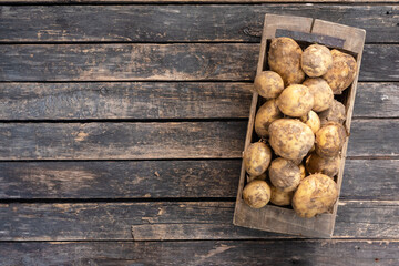 Raw potato crop in a wooden box on garden table background with copy space.