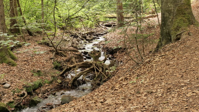 Holzbachtal bei Weiskirchen