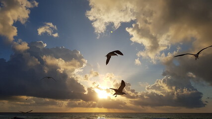 Vacations