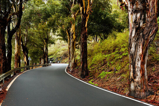 Scenic foggy landscape in Parque Natural de Pilancones in Gran Canaria, Canary Islands, Spain
