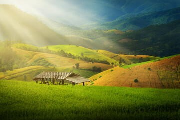 Shack in the rice field ,Pa Pong Pieng , Mae Chaem, Chiang Mai, Thailand