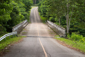 road and bridge in the forest
