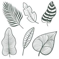 Fototapeta na wymiar Collection of hand drawn tropical leaves for design on white, stock vector illustration