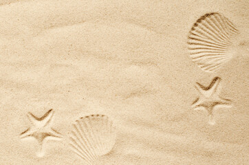Top view of a sandy beach, texture of clean sand of a natural surface. Sand background. Imprints of mollusks in the sand. - obrazy, fototapety, plakaty