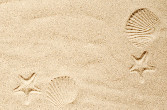 Top view of a sandy beach, texture of clean sand of a natural surface. Sand background. Imprints of mollusks in the sand. - Powered by Adobe