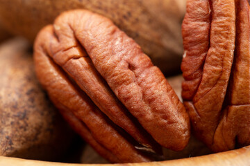 Pecan (Carya illinoinensis) is a species of hickory native to northern Mexico. The seed is an edible nut.