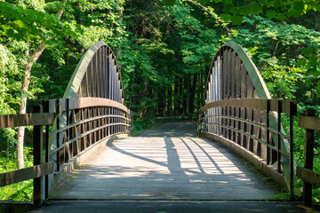 2020-07-07 South Rocky River Reservation Bridge and Path Through Woods Cleveland Metro Parks