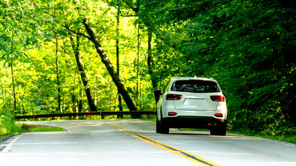 2020-07-07 South Rocky River Reservation Road Through Woods Metro Parks Cleveland