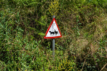 Señal de peligro paso de carros y caballos en camino rural un dia soleado.