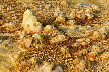 Salt ponds, bubbling chimneys and salt terraces form the bottom of the volcanic crater Dallol, Ethiopia: The Hottest Place on Earth,Danakil Depression,North Ethiopia,Africa