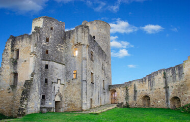 Fototapeta na wymiar Rauzan, France - April 10, 2020 : The medieval feudal castle of Rauzan, Gironde, Aquitaine