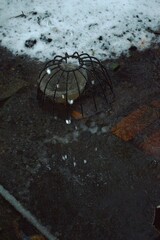 rain falling
