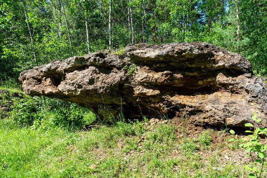 Travertine rock in Laski (community Boleslaw, Poland)