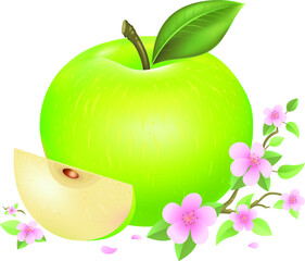 Vector Green Apple Illustration