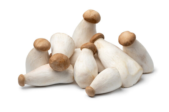 Heap of fresh mini king oyster mushrooms