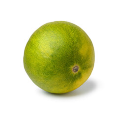 Single fresh whole limelon fruit