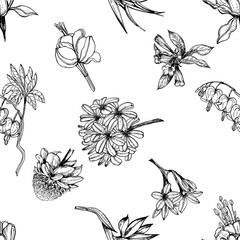Seamless pattern of hand drawn sketch style tropical flowers and plants isolated on white background. Vector illustration.