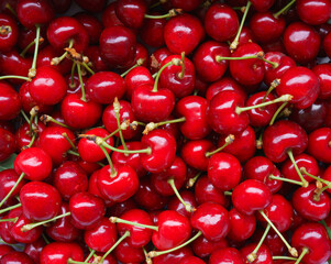 Pattern of many ripe cherries in the summer table