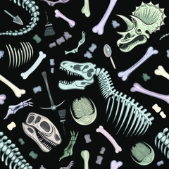 Vector Dinosaur Bones Seamless Pattern