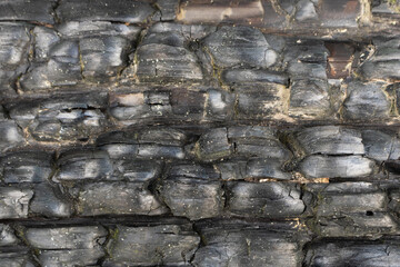 Black wood texture after a fire. Close-up.