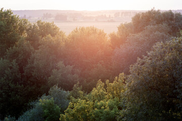 Beautiful landscape concept. Summer sunset in countryside. Green trees in warm back light leak