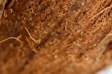 close up view of coconut brown textured peel