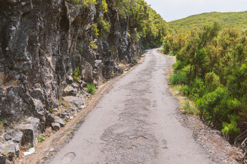 road in mountain forest