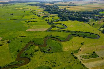 Aerial view of meander of the Wieprz river near Krasnystaw in Poland. - obrazy, fototapety, plakaty