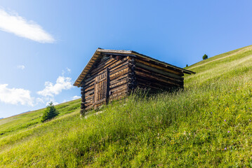 Obraz premium Old log stable on the alpine meadows covered in green grass and colorful flowers in Switzerland during summer