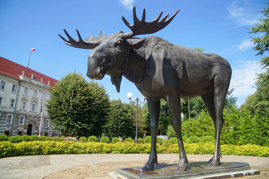 Kaliningrad region. Sovetsk (former Tilsit). Elk "Gustav"