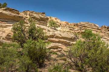 Fototapeta na wymiar Rocks and trees in the Palo Duro Canyon