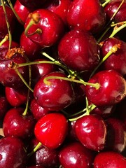 Juicy delicious cherries on the market macro