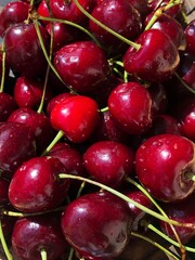 Juicy delicious cherries on the market macro